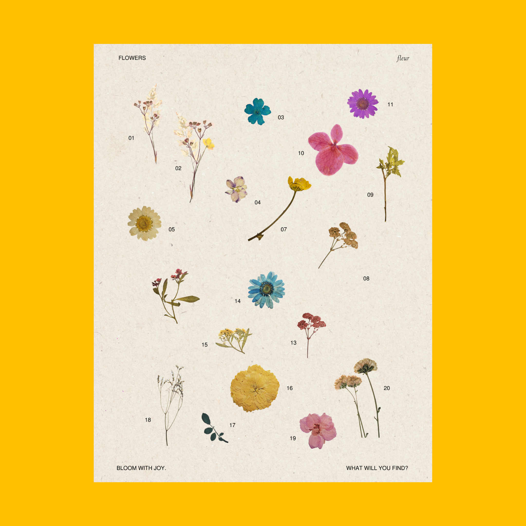Flowers